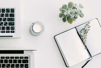 篮球-博鱼：让钓鱼从偶然走向数据化的美好旅程